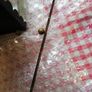 Vintage '60 wrought iron Outdoor/Indoor Lamp Image 4