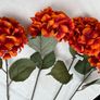 4 Large Hydrangeas Image 4