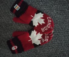 ski gloves