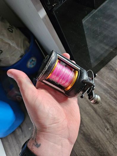 sea fishing reels