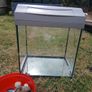 fish tank Image 2