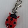 New ladybird watch Image 2