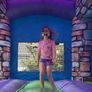 Bouncy Castle Image 3