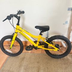 Ridgeback MX16 kids bike