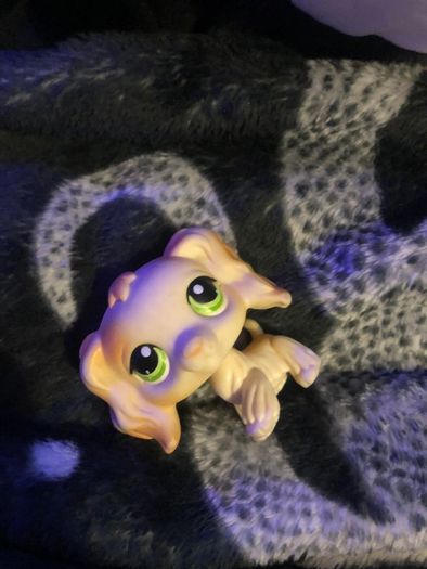 Littlest pet shop