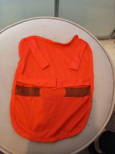 Small santa dog coat