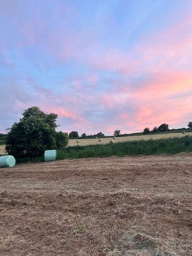 42 Bales of Haylage, Not chopped, good for horses