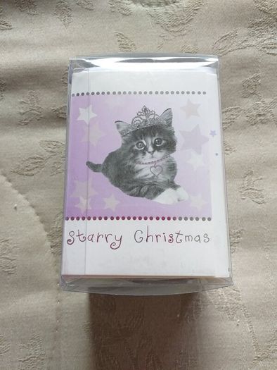 2 Packs of Christmas Cards & Gift Tags