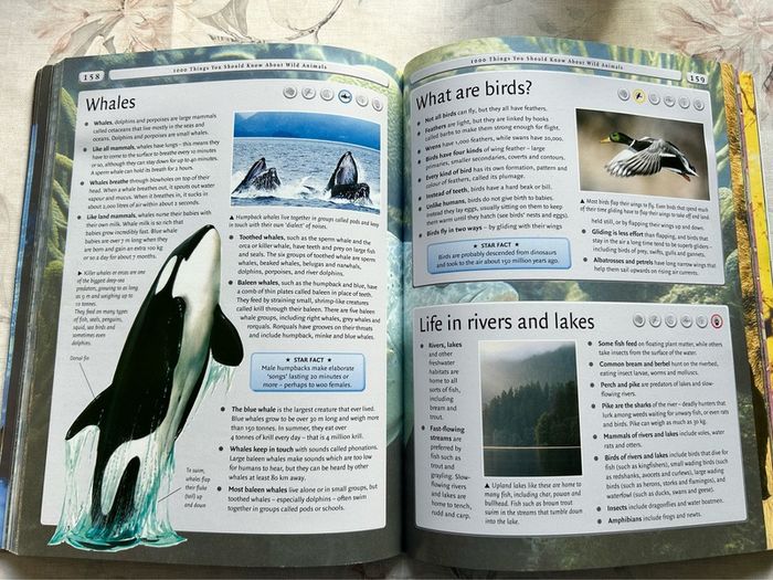 4000 Facts Book