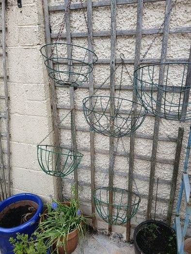 hanging baskets