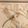 Edith Holden Framed Vintage Botanical Plate - July Country Diary of an Edwardian Lady (28.5x33.5cm) Image 3