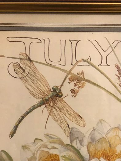 Edith Holden Framed Vintage Botanical Plate - July Country Diary of an Edwardian Lady (28.5x33.5cm)