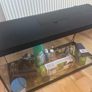 As New Large fish tank Image 3