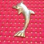 Silver Dolphin Pendant Image 3