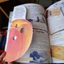 Large Roald Dahl hardback book Image 4