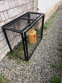 Gas Cylinder Safety Cage and Gas Cannister (full)