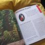 Goldfish -A Complete Pet Owners Manual Image 7