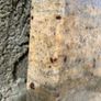 Prada gold Granite slab , Hearth or worktop Image 7