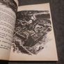 The Fairy Tales of Ireland Image 5