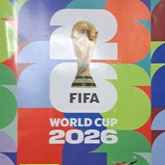 Panini World Cup Stickers