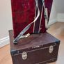 Parrot Piano Accordion Image 3