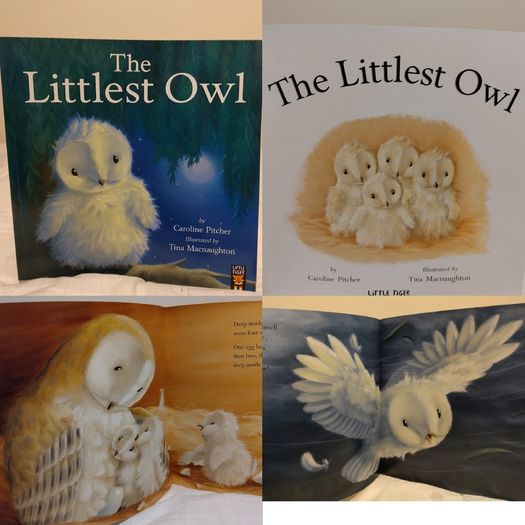The Littlest Owl by Caroline Pitcher