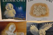 The Littlest Owl by Caroline Pitcher