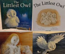 The Littlest Owl by Caroline Pitcher