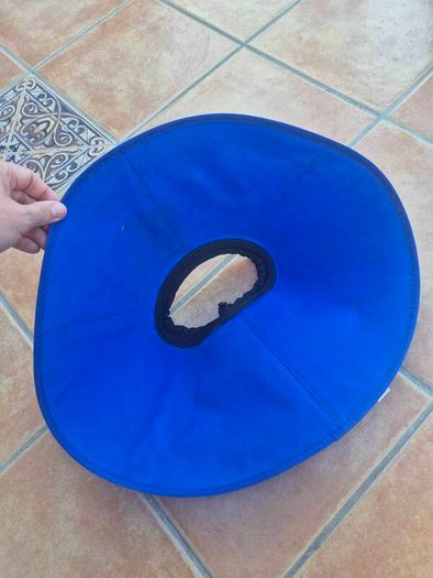 Dog Cone (unused)