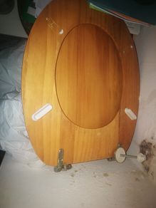 Toilet seat