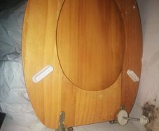 Toilet seat
