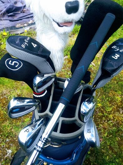 Set of Ladies Golf Clubs
