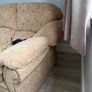 Free sofa Image 3