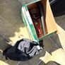Bosch UniversalGardenTidy 3000 Garden Vacuum & Leaf Blower (3000W) Image 6