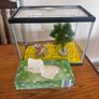 Fish tank Image 3