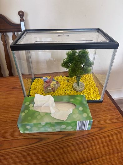 Fish tank