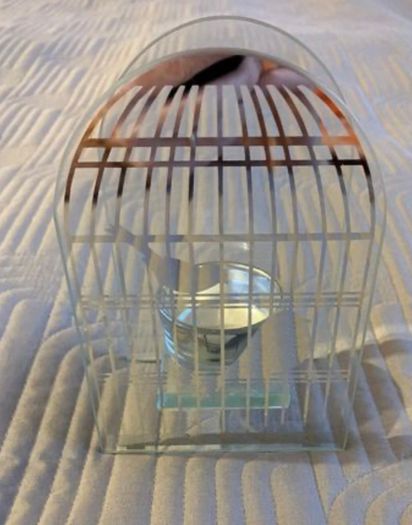 Beautiful Glass Bird Tealight holder - Christmas