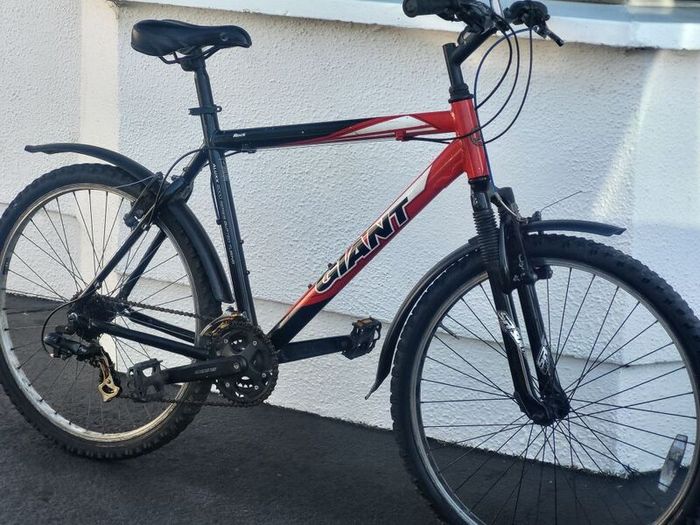 Giant Rock Large Bike