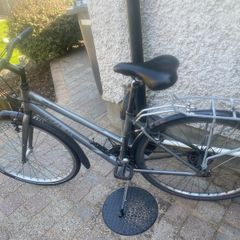 ladies trek bicycle