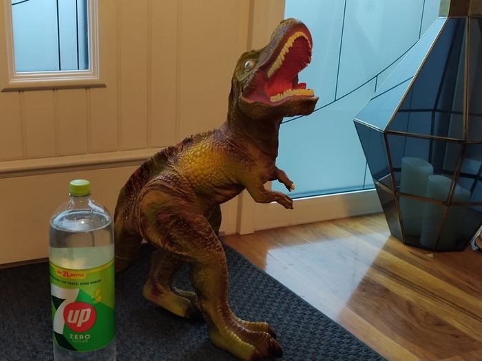 T-Rex Dinosaur