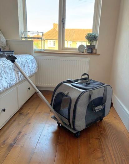 Cat Carrier x 1