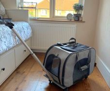 Cat Carrier x 1