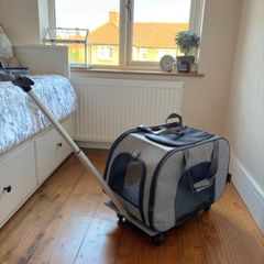 Cat Carrier x 1