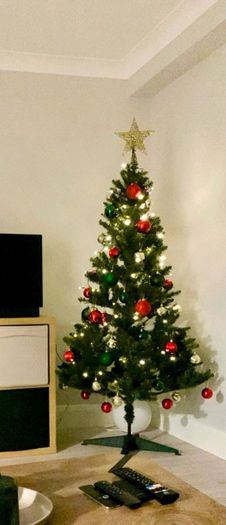 6ft christmas tree