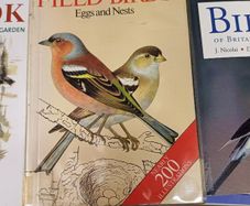 Books on garden birds