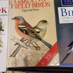 Books on garden birds