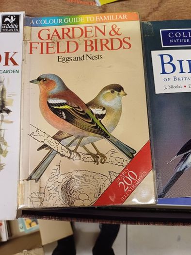 Books on garden birds