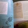 Tara the guide book Ireland Irish Co. Meath History Archaeology Image 7