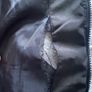Longines Global Champions Tour Women's Padded Gilet Image 5