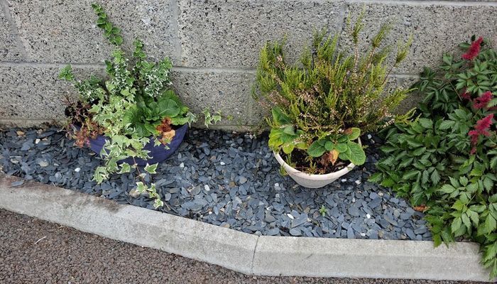 Gardenline Blue Slate Stone Chippings 5kg Bags X15